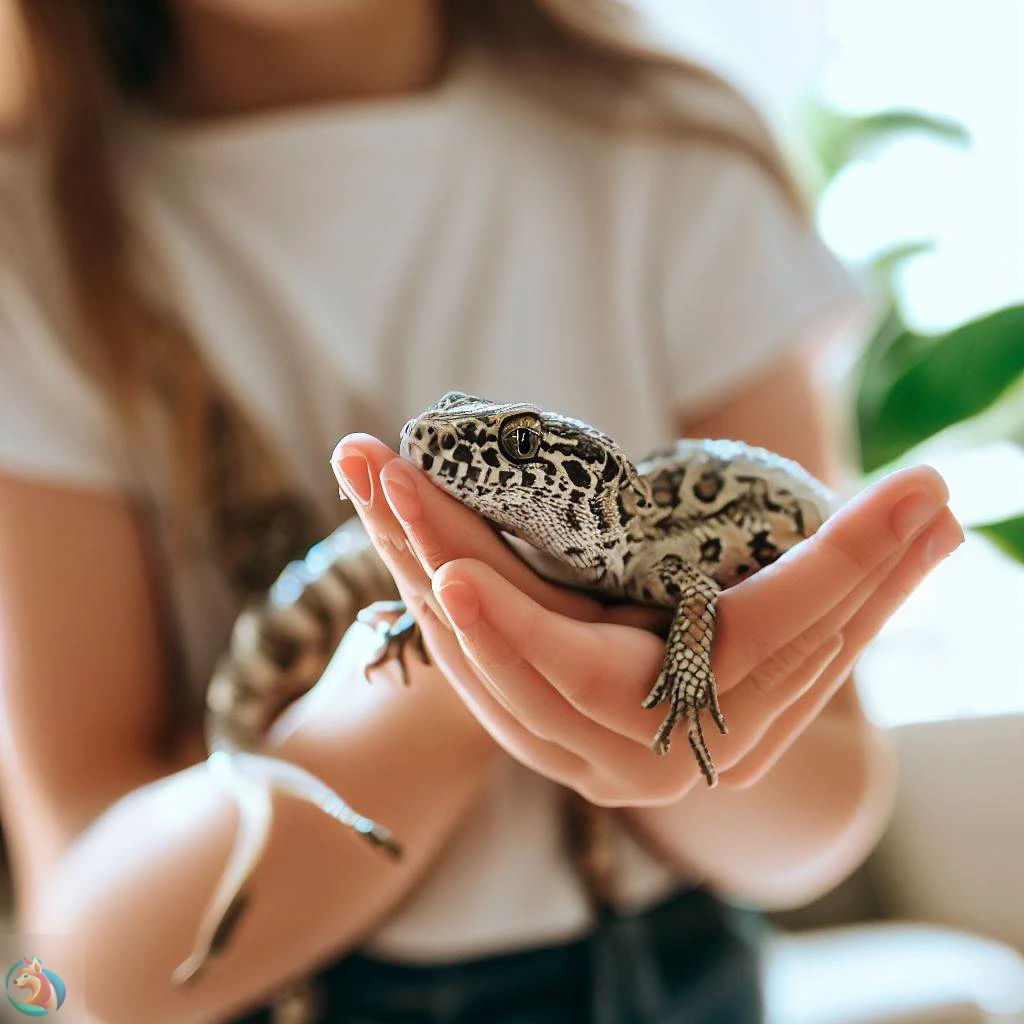 consejos para el manejo seguro de reptiles